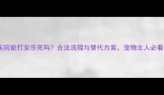 宠物医院能打安乐死吗合法流程与替代方案宠物主人必看指南
