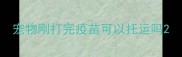 宠物刚打完疫苗可以托运吗