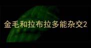金毛和拉布拉多能杂交