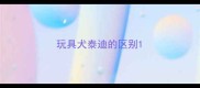 玩具犬泰迪的区别