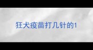 狂犬疫苗打几针的