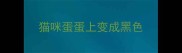 猫咪蛋蛋上变成黑色