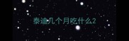 泰迪几个月吃什么