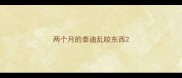 两个月的泰迪乱咬东西