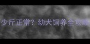 哈士奇2个月大多少斤正常幼犬饲养全攻略与体重监测指南