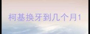 柯基换牙到几个月