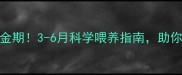 中亚牧羊犬成长黄金期3-6月科学喂养指南助你养出健壮牧羊小能手