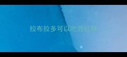 拉布拉多可以吃西红柿