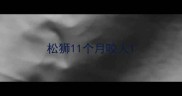 松狮11个月咬人
