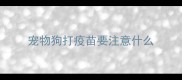 宠物狗打疫苗要注意什么