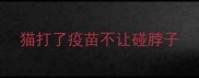猫打了疫苗不让碰脖子
