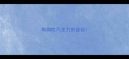 狗狗吃巧克力的症状
