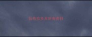 拉布拉多犬所有资料