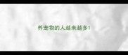 养宠物的人越来越多