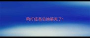 狗打疫苗后抽筋死了