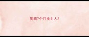 狗狗7个月换主人