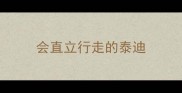 会直立行走的泰迪
