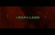 小男孩养什么宠物狗