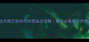 金毛幼犬尾巴歪斜打结感染全攻略新手必看尾巴护理指南