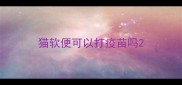 猫软便可以打疫苗吗