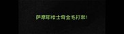 萨摩耶哈士奇金毛打架