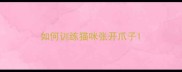 如何训练猫咪张开爪子