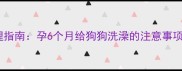 孕中期科学护理指南孕6个月给狗狗洗澡的注意事项与安全操作全