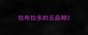 拉布拉多的五品种