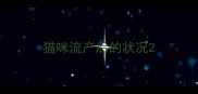 猫咪流产后的状况