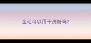 金毛可以用干洗粉吗