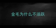 金毛为什么不活跃