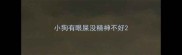 小狗有眼屎没精神不好