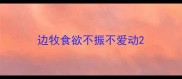 边牧食欲不振不爱动