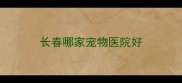长春哪家宠物医院好