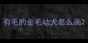 有毛的金毛幼犬怎么画