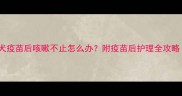 狗狗打完狂犬疫苗后咳嗽不止怎么办附疫苗后护理全攻略附视频