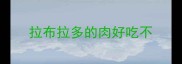 拉布拉多的肉好吃不