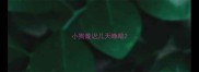 小狗最迟几天睁眼