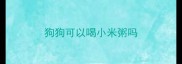 狗狗可以喝小米粥吗
