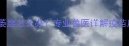 幼犬疫苗后精神萎靡怎么办专业兽医详解疫苗反应与护理指南