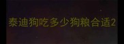 泰迪狗吃多少狗粮合适