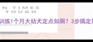 新手必看如何训练1个月大幼犬定点如厕3步搞定如厕训练全攻略