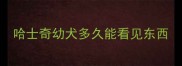 哈士奇幼犬多久能看见东西