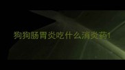 狗狗肠胃炎吃什么消炎药
