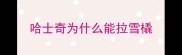 哈士奇为什么能拉雪橇