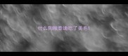 什么狗粮泰迪吃了美毛