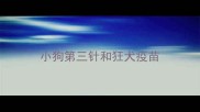 小狗第三针和狂犬疫苗