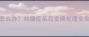 猫咪打疫苗后体温40怎么办幼猫疫苗后发烧处理全攻略附体温监测技巧