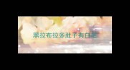 黑拉布拉多肚子有白毛