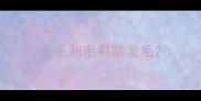 金毛剃毛有助发毛